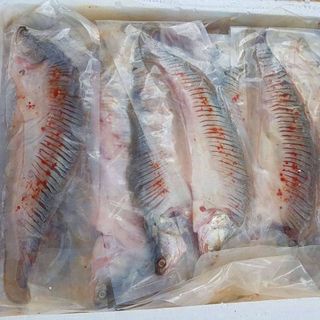Giá Sỉ Cá Thác Lác Rút Xương Cá Thát Lát Rút Xương Thủy Hải sản đông lạnh