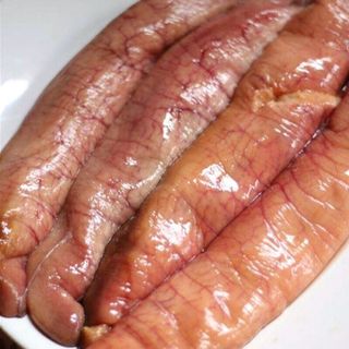TRỨNG CÁ NGỪ/TRỨNG CÁ NGỪ ĐẠI DƯƠNG