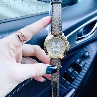 Đồng hồ nữ Coachhs
