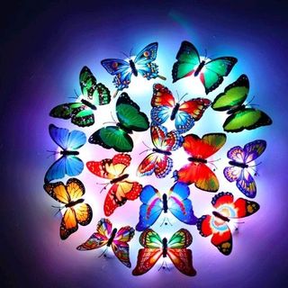 bươm bướm có đèn led dán tường kiểu đẹp