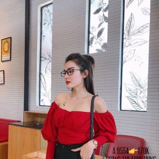 Áo kiểu như hình