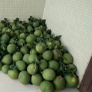 buổi da xanh đồng nai