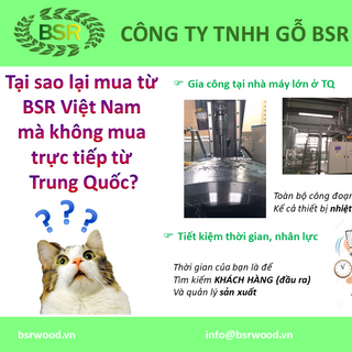KHUÔN MÁY ÉP VIÊN NÉN Rong da 508 Yulong 650 Muyang SZLH650 BSR720 SZLH420 Paladin 850 Salmatec 500 Buhler 660