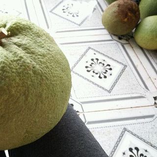 buổi da xanh đồng nai