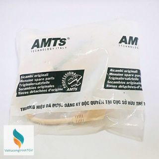 Chống giật bình nước nóng AMTS PRCD-16A