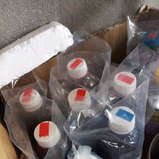 Chai Mực Lông Dầu Thế Hưng - Chai 05lit