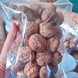 Óc Chó Nếp