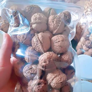 Óc Chó Nếp