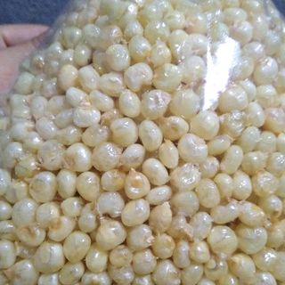 Bắp nếp non sấy giòn