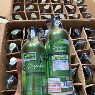Dầu gội cặp bưởi