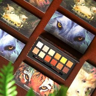 Bảng phấn mắt 12 ô Mezze adventurer eyeshadow palette Mezze nội địa Trung MZ-4333