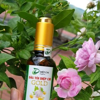 Dầu tỏi diêp chi gold