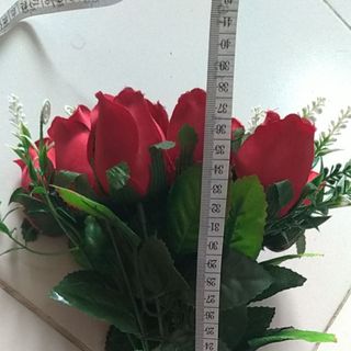 BỤI HOA HỒNG NỤ - 12 BÔNG