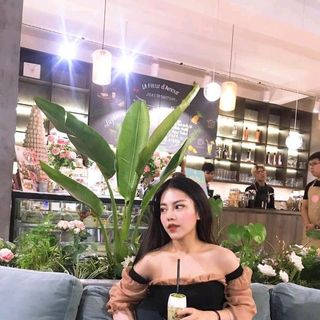 đầm ninh hiệp sale