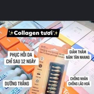 COLLAGEN TƯƠI