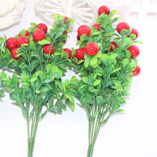 BỤI CHERRY TRÁI ĐƠN - CÀNH 5 - 15 TRÁI