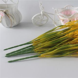 CỎ LÚA - CÀNH 5