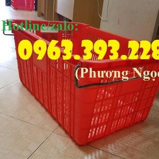 Sọt nhựa đựng trái cây sọt nhựa có quai sắt sóng nhựa rỗng cao cấp
