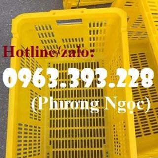Sọt nhựa đựng trái cây sọt nhựa có quai sắt sóng nhựa rỗng cao cấp