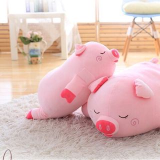 Con heo gấu bông siêu cưng