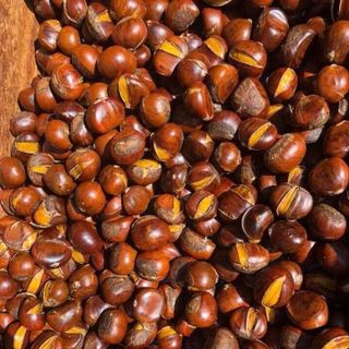 Hạt dẻ trùng khánh siêu ngon