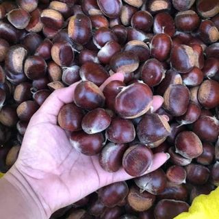 Hạt dẻ trùng khánh siêu ngon