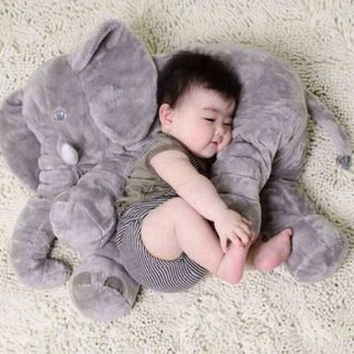 Con voi gấu bông siêu cưng