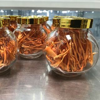 10G Đông Trùng Hạ Thảo Khô Sấy Thăng Hoa