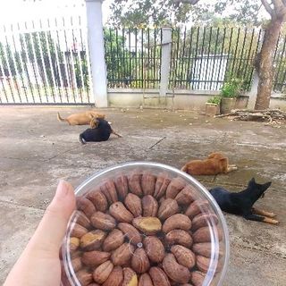 Điều rang muối - đặc sản Bình Phước