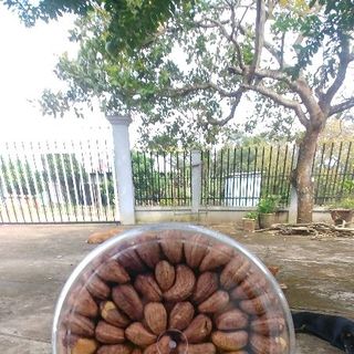 Điều rang muối - đặc sản Bình Phước