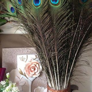 Lông Công Ấn Độ Phong Thủy Mắt Đại 5 - 7 cm Cao 100 cm