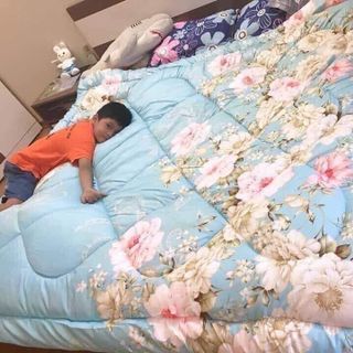 Ruột chăn everon trần bông
