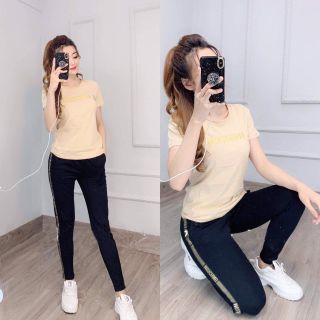 Sỉ đồ bộ thun cotton thêu