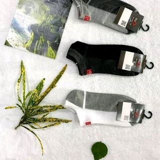 tất nam cổ ngắn