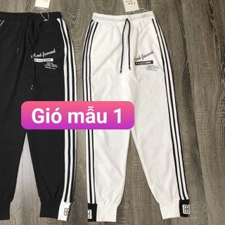 Quần gió bo gấu thể thao