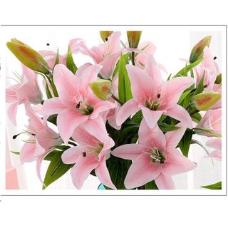 Hoa Giả Hoa Lụa - HOA LY HOA LILY PHỦ SÁP CAO CẤP Dài 79cm giá sỉ