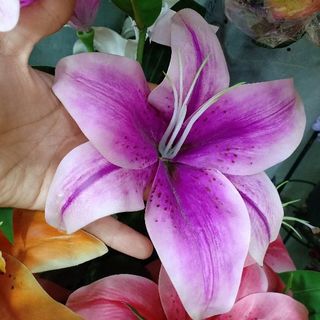 Hoa Giả Hoa Lụa - HOA LY HOA LILY PHỦ SÁP CAO CẤP Dài 79cm