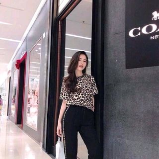 sét cát hàn xinh