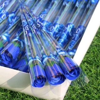 bông hồng sáp thơm nguyên cây hoa sáp thơm nguyên cây