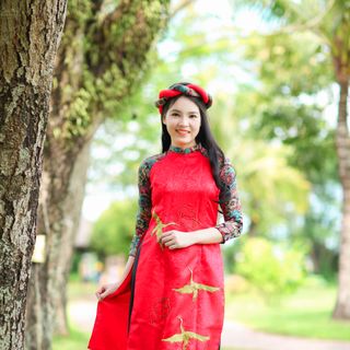 Set áo dài cách tân Gấm taffta đỏ kết chim phụng