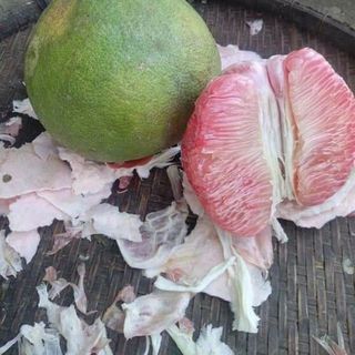 bươi da xanh ruột đỏ