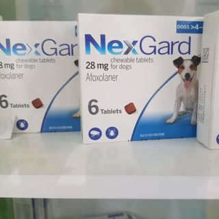 Thuốc trị ve ghẻ bọ chét trên chó hộp 6 viên Nexgard cho chó 4-10kg giá sỉ