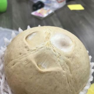 dừa trọc bến tre
