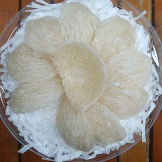 yến sơ chế rút lông