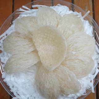 yến sơ chế rút lông
