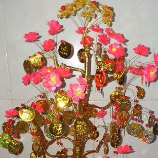 cây đào đồng tiền sai 505060