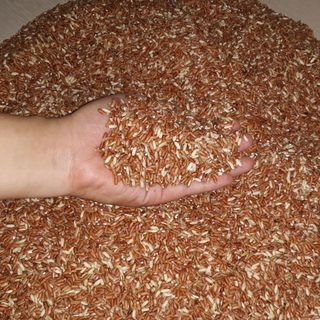 Bán sỉ Gạo lứt dẻo Điện Biên