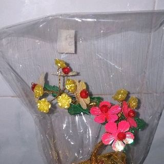 cây đào và mai mini