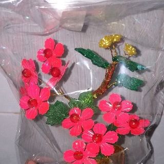 cây đào và mai mini