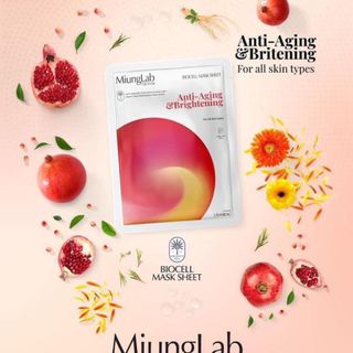 Miung Lab Verson 2